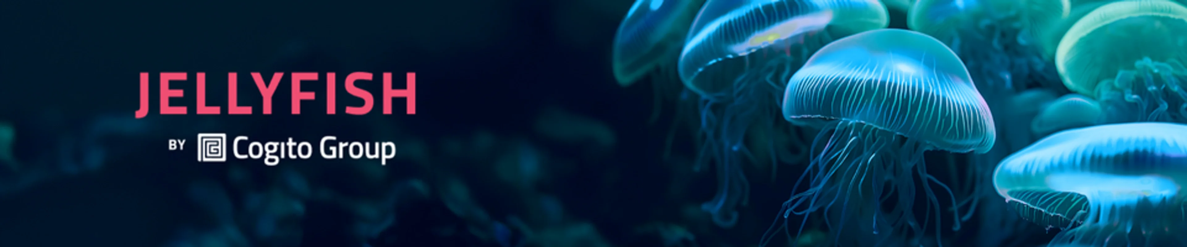 Jellyfish email banner