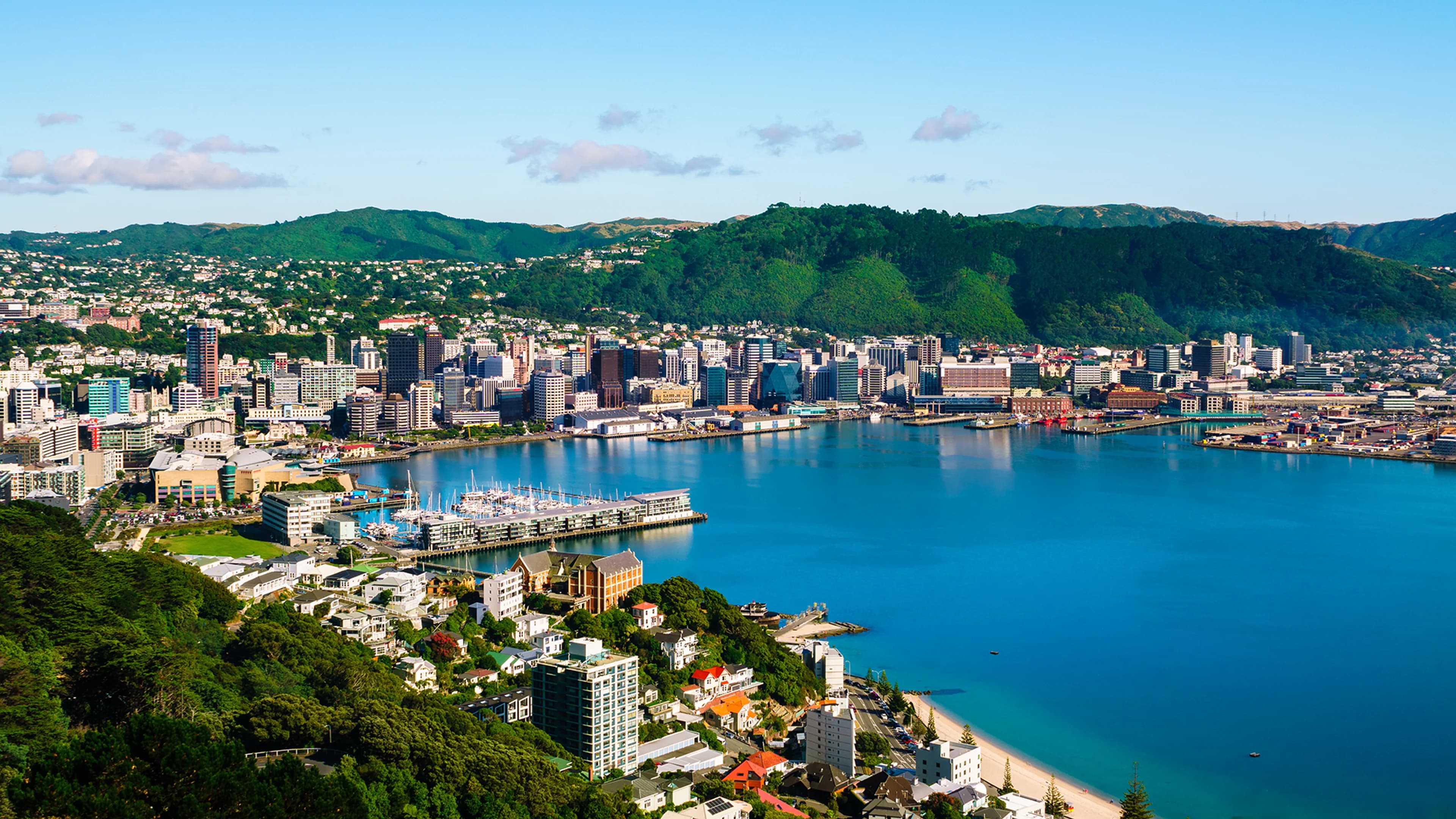 Wellington, New Zealand cityscape
